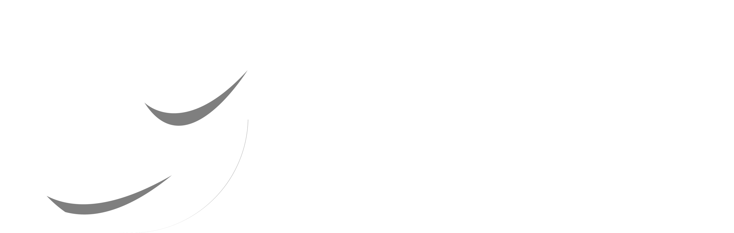 SRJ Global Foods