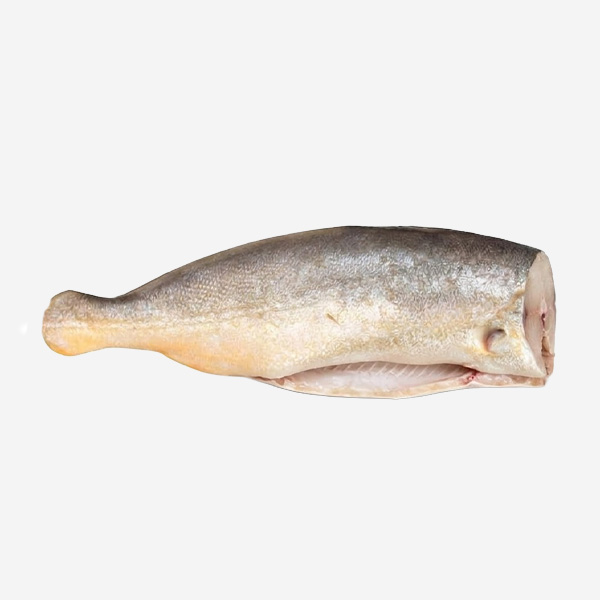 King Weakfish Bangamary Pan Ready